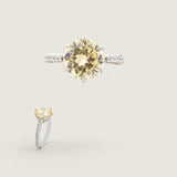 5 CT CTR RDS DWN 2/3 AROUND F613-5-CAN-CZ-14K