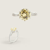 4 CT CTR RDS DWN 2/3 AROUND F613-4-CAN-CZ-14K