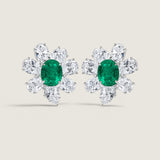 CLUSTER OF OVALS & MARQ - EF893/EM/CZ