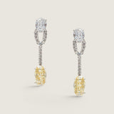 DOUBLE OVAL DROP EARRING - EF992/CAN/CZ