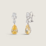 Tear-Drop Cluster Earring (6.55 TCW)
