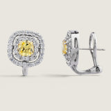 Signature Canary Floating Halo Earrings (2.2 TCW)