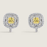 Signature Canary Floating Halo Earrings (2.2 TCW)