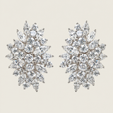 Marquise Garden Statement Earrings