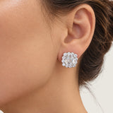 Asscher-Cut Halo Earrings (11.8 TCW)