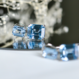 Double Emerald-Cut  Aquamarine Drop Earrings (19 TCW)
