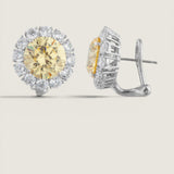 Golden Canary Halo Earrings (17.8 TCW)