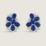 CLUSTER EARRING OF OVALS AND ROUNDS - EF1479/SAP/CZ