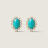 EARRING FACET CTR/W RDS SURR - F14E/TURQ/CZ