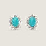 EARRING FACET CTR/W RDS SURR - F14E/TURQ/CZ