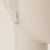 DOUBLE ROUND ON PAVE TOP - EF1132/CAN/CZ