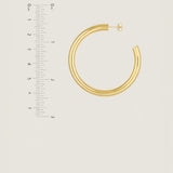 Medium Tube Hoop Earrings (Yellow Gold)