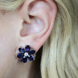 Sapphire Lily Button Earrings