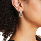 Double Emerald-Cut Drop Earrings (19 TCW)